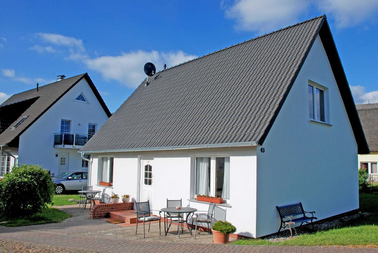 Ferienwohnungen Im Haus Am Deich Middelhagen Buitenkant foto